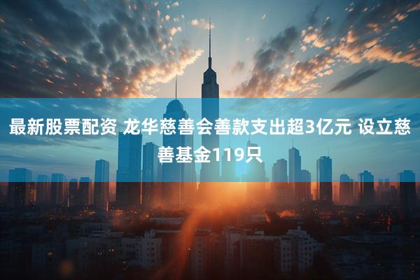 最新股票配资 龙华慈善会善款支出超3亿元 设立慈善基金119只