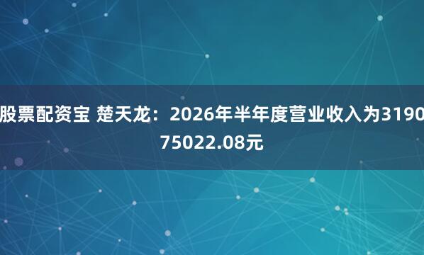 股票配资宝 楚天龙：2026年半年度营业收入为319075022.08元